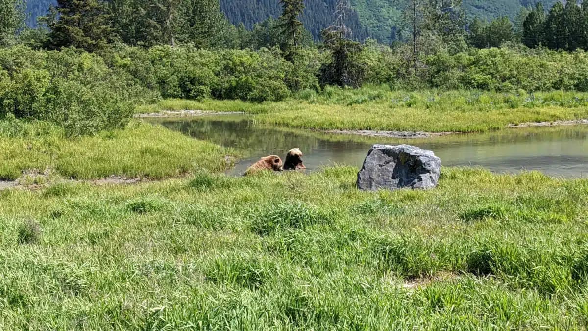 Cook Inlet Tribal Council Inc