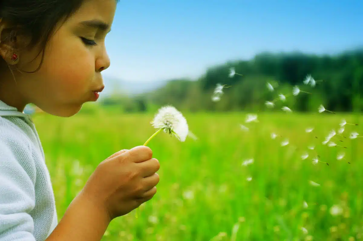 Counseling and Recovery Services of OK